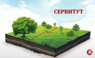 Установление сервитута для юридических лиц в Санкт-Петербурге