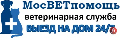 Ветпомощь на дому